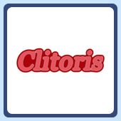 clitoris is the word, dirty women's clit t-shirt