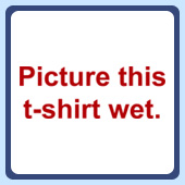 picture this t-shirt wet, t-shirts and other apparel for party sluts